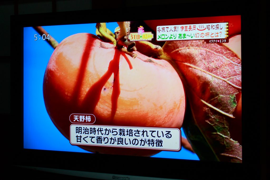 天野柿が紹介されました
