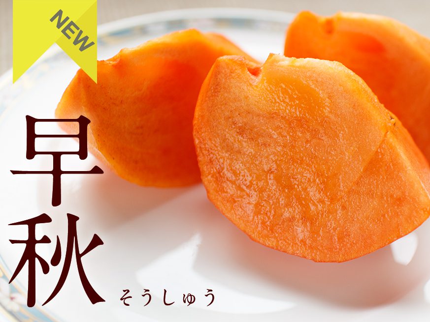 【ラッピング無料】 甘さと柔らかさはＡ品に劣りません 柿の中でも王様と呼ばれる 富有柿 の味をご家庭でお楽しみ頂けます 奈良県西吉野産 約３kg訳あり