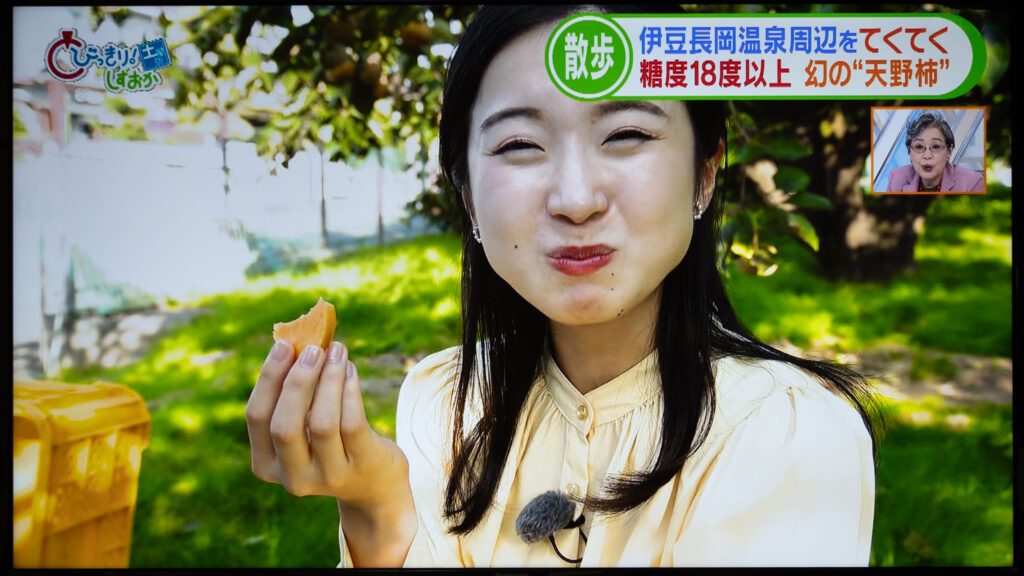 静岡朝日テレビで天野柿が紹介されました。